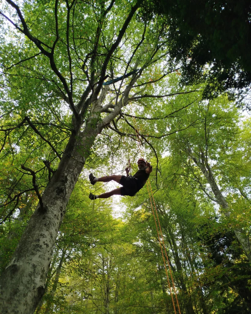 Grimpe arbre activité val d'azun