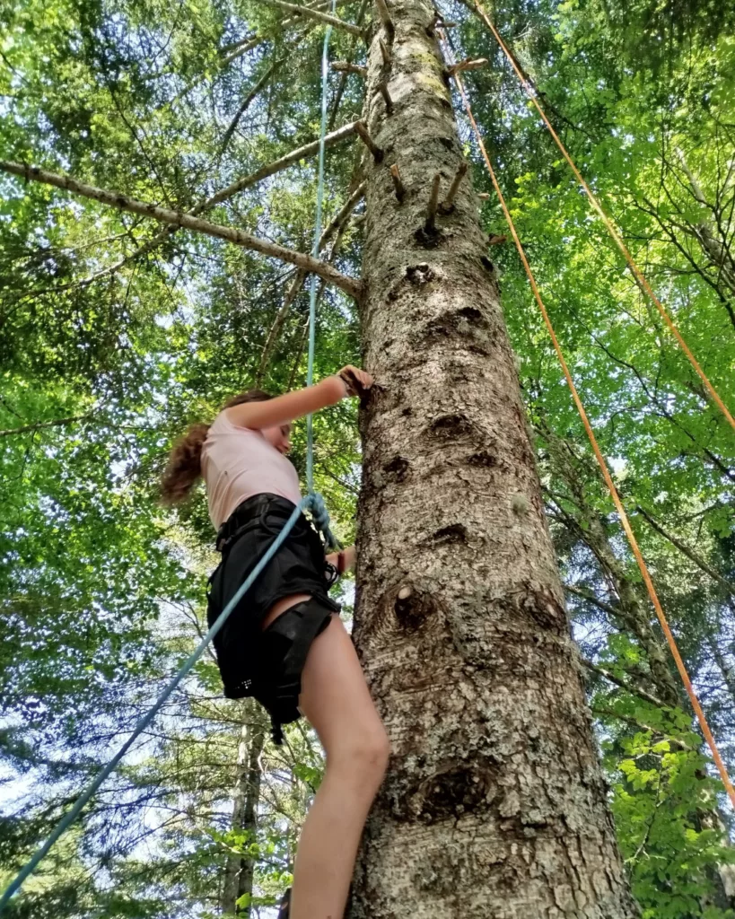 escalad'arbre acitivité enfant val d'azun