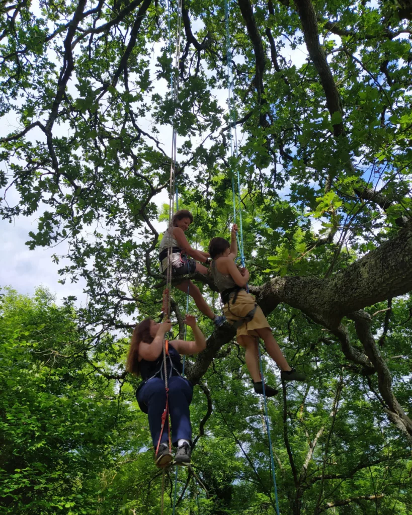 escalad'arbre val d'azun BMVA
