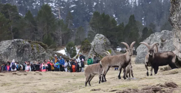 La montagne pour tous  dans le Val d&rsquo;Azun