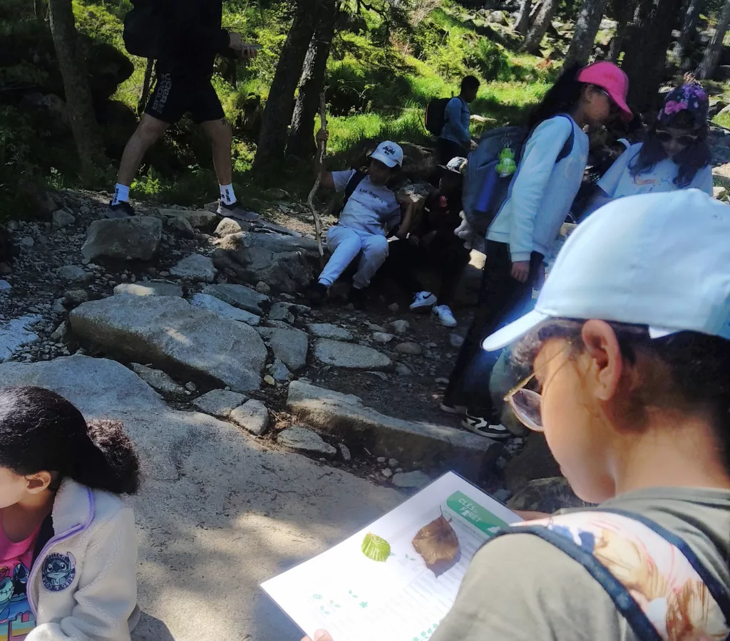 sortie soclaire bureau montagne du val d'azun